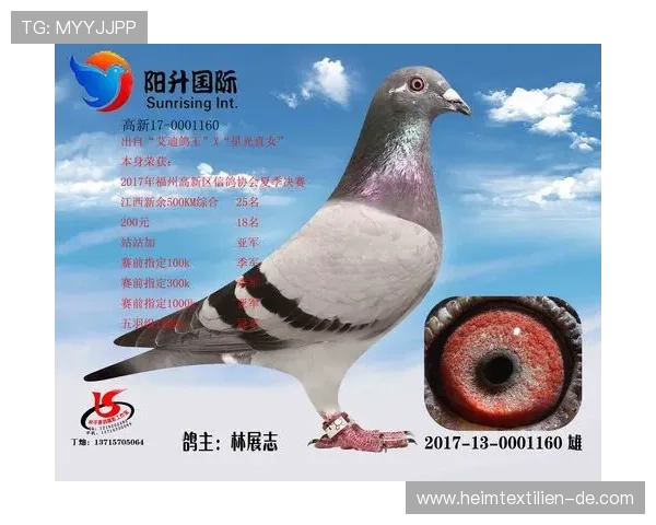 实现AG国际网页版登录最全面的安全验证措施与在线账号保护策略