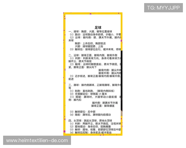 真人足球游戏规则详尽介绍帮助新手快速适应游戏环境与玩法要求